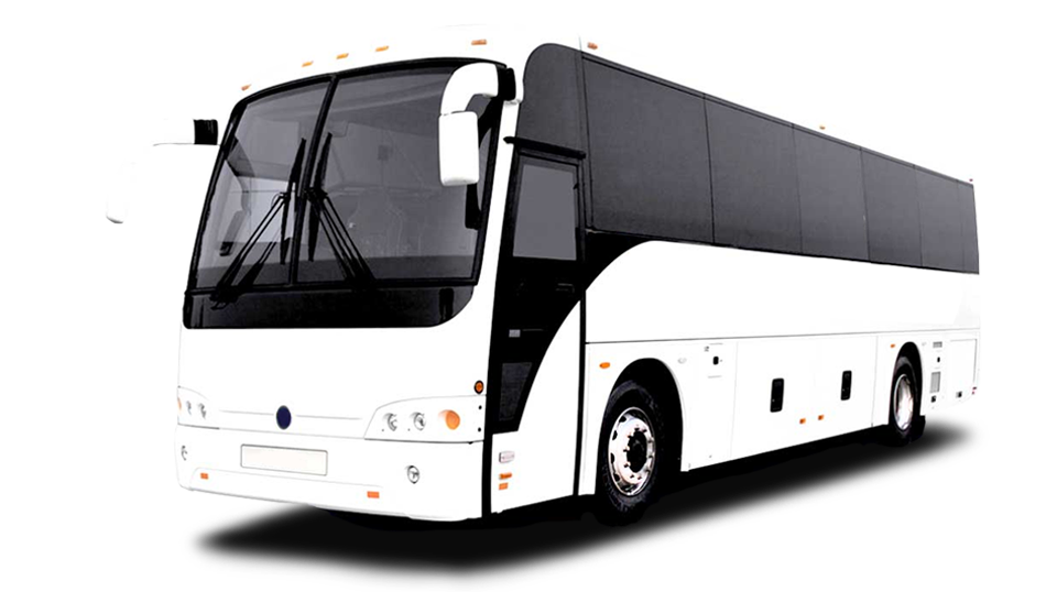 автобусные туры в палангу